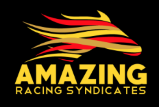 Amazing Racing logo